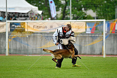 Tyrannens Eldige Elis