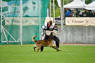 Tyrannens Eldige Elis