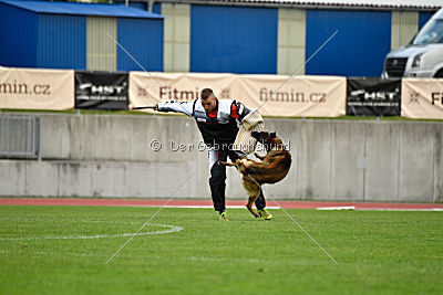 Tyrannens Eldige Elis