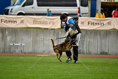 Tyrannens Eldige Elis