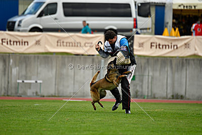 Tyrannens Eldige Elis