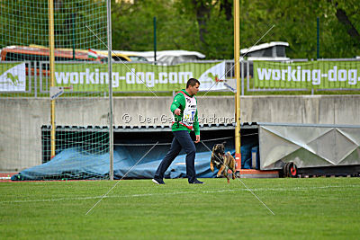 Tyrannens Eldige Elis