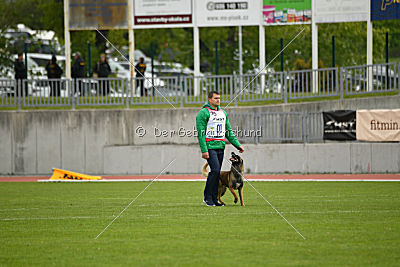 Tyrannens Eldige Elis