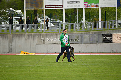 Tyrannens Eldige Elis