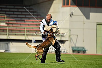 Tyrannens Eldige Elis