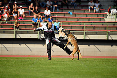 Tyrannens Eldige Elis