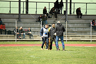 Tyrannens Galna Grymma