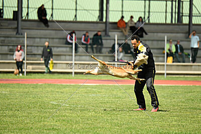 Tyrannens Galna Grymma