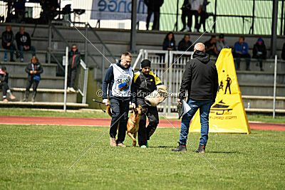 Tyrannens Galna Grymma