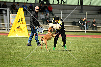 Tyrannens Galna Grymma