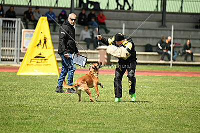 Tyrannens Galna Grymma