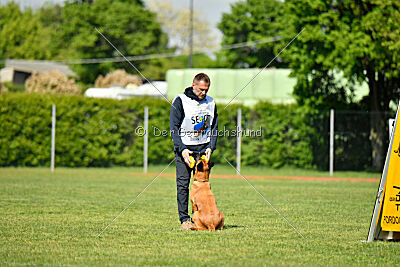 Tyrannens Galna Grymma