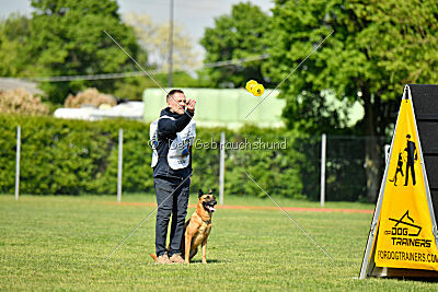 Tyrannens Galna Grymma