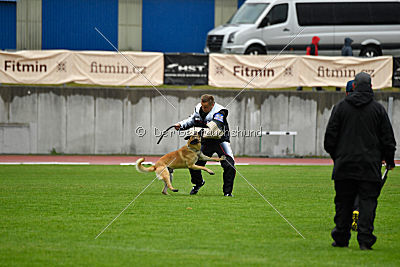 Ukrainer iz Gratsiano