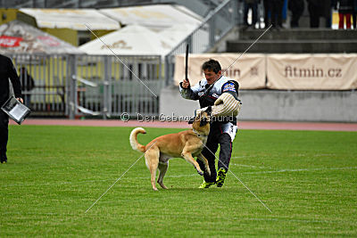 Ukrainer iz Gratsiano