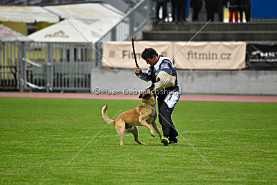 Ukrainer iz Gratsiano