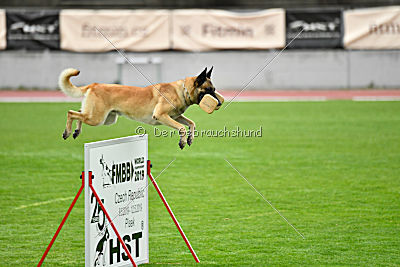 Ukrainer iz Gratsiano