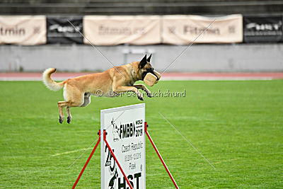 Ukrainer iz Gratsiano