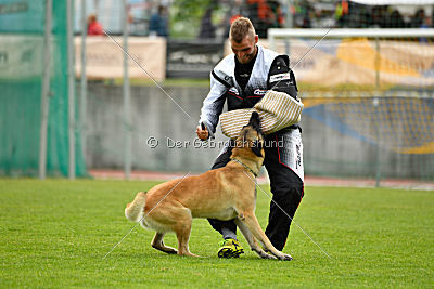 Ukrainer iz Gratsiano