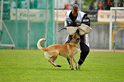 Ukrainer iz Gratsiano