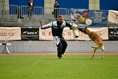 Ukrainer iz Gratsiano