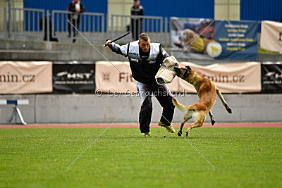 Ukrainer iz Gratsiano