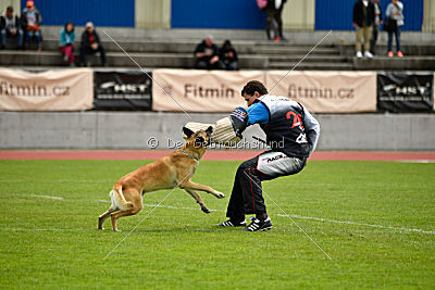 Ukrainer iz Gratsiano