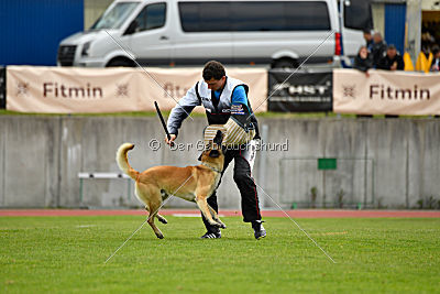 Ukrainer iz Gratsiano