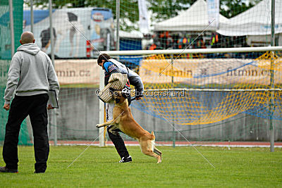 Ukrainer iz Gratsiano