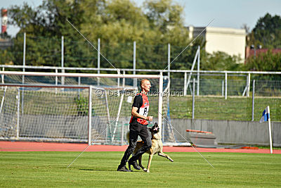 Ukrainer iz Gratsiano