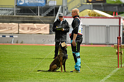 Ullhedens Älskade Asta