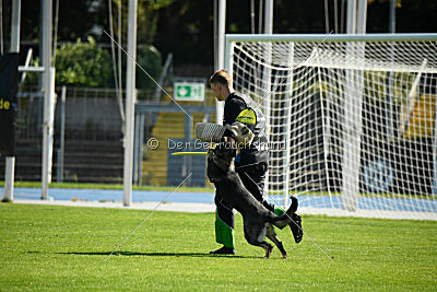 Ullla aus der Königshöhle
