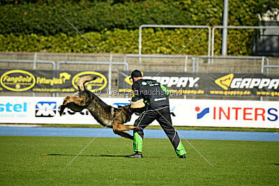 Ullmann vom Fluchtweg
