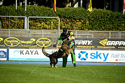 Ullmann vom Fluchtweg