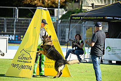 Ullmann vom Fluchtweg