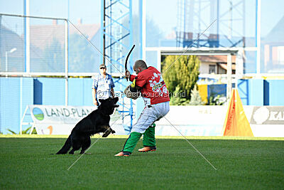 Ulrich von der Winterschal