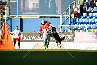 Ulrich von der Winterschal