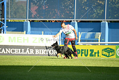 Ulrich von der Winterschal