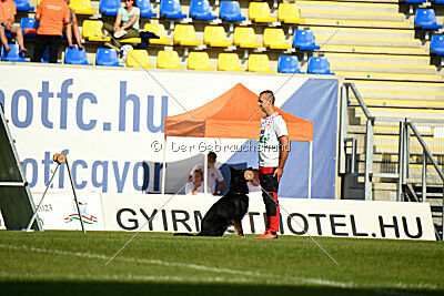 Ulrich von der Winterschal