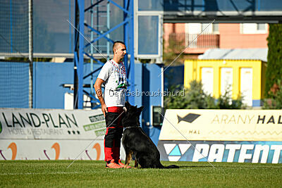 Ulrich von der Winterschal