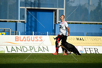 Ulrich von der Winterschal