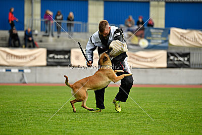 Uma Anubis the Second