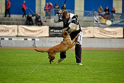 Uma Anubis the Second