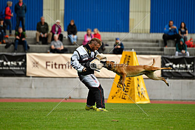 Uma Anubis the Second