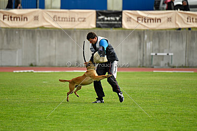 Uma Anubis the Second