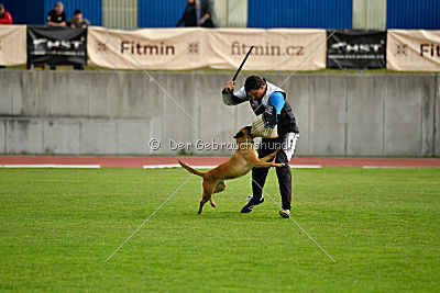 Uma Anubis the Second