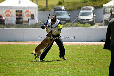 Uma Anubis the Second