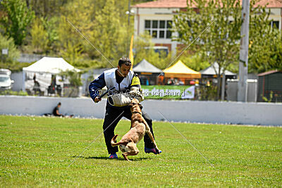 Uma Anubis the Second