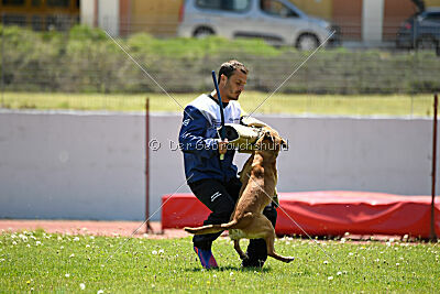 Uma Anubis the Second