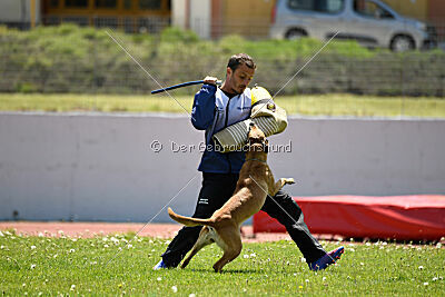 Uma Anubis the Second